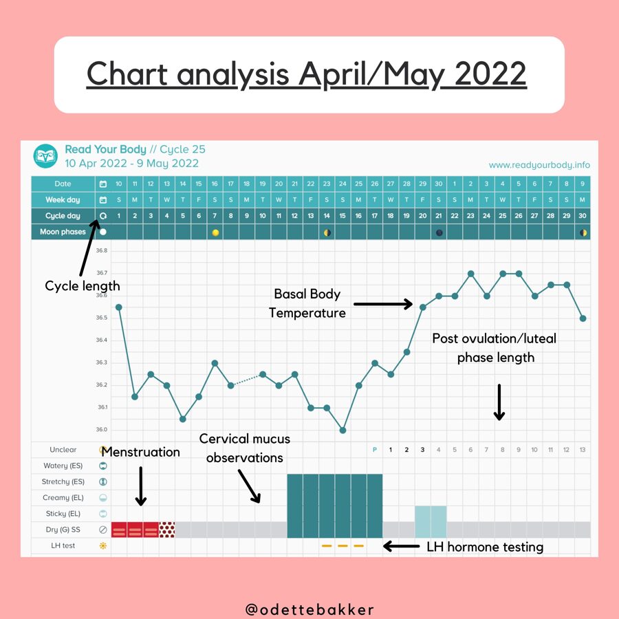 Fertility awareness method chart